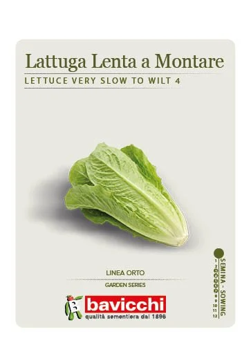 LATTUGA BIONDA LENTISSIMA A MONTARE 4 - VLA1907
