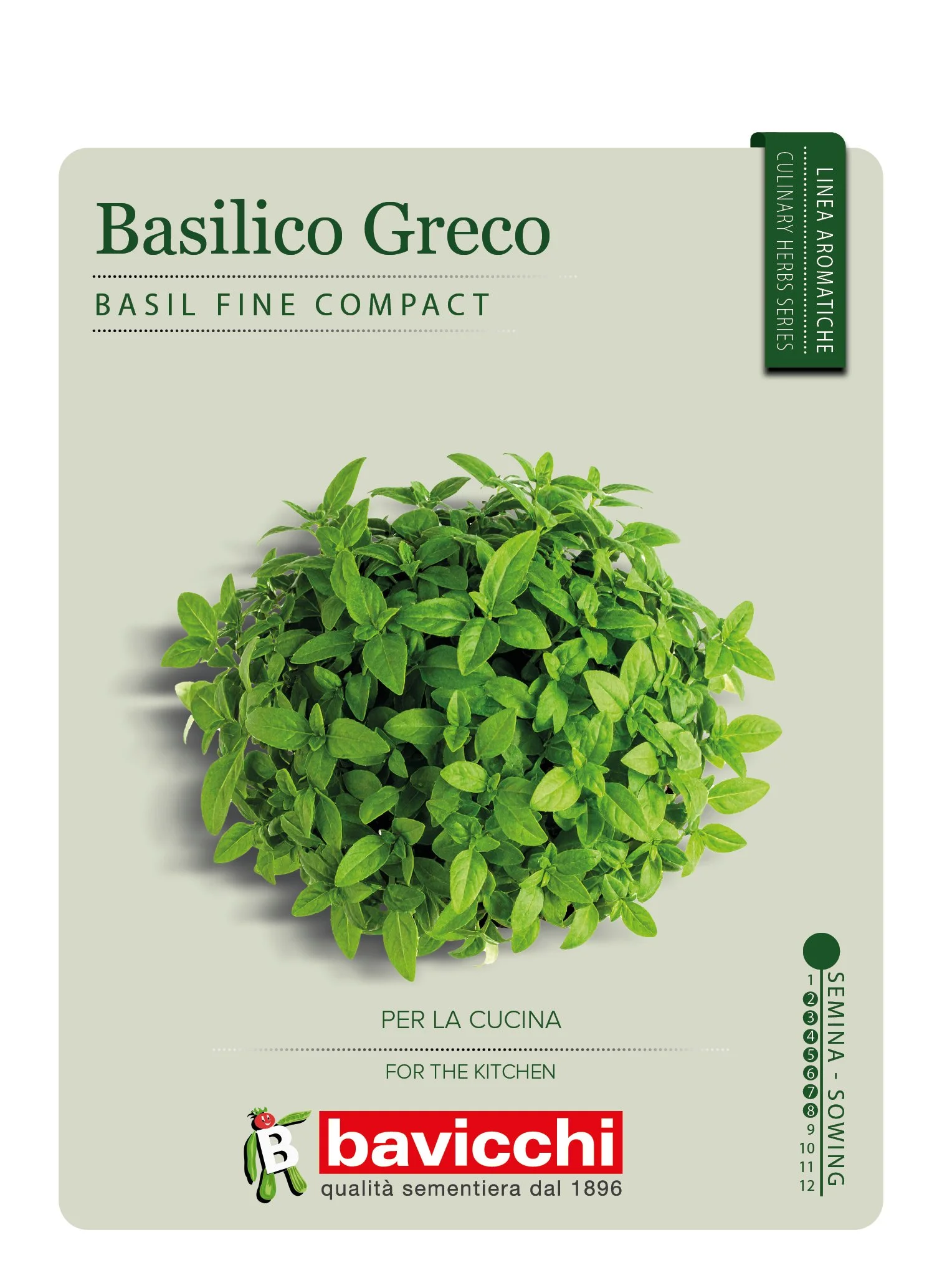 BASILICO COMPATTO A PALLA - ZBS0507