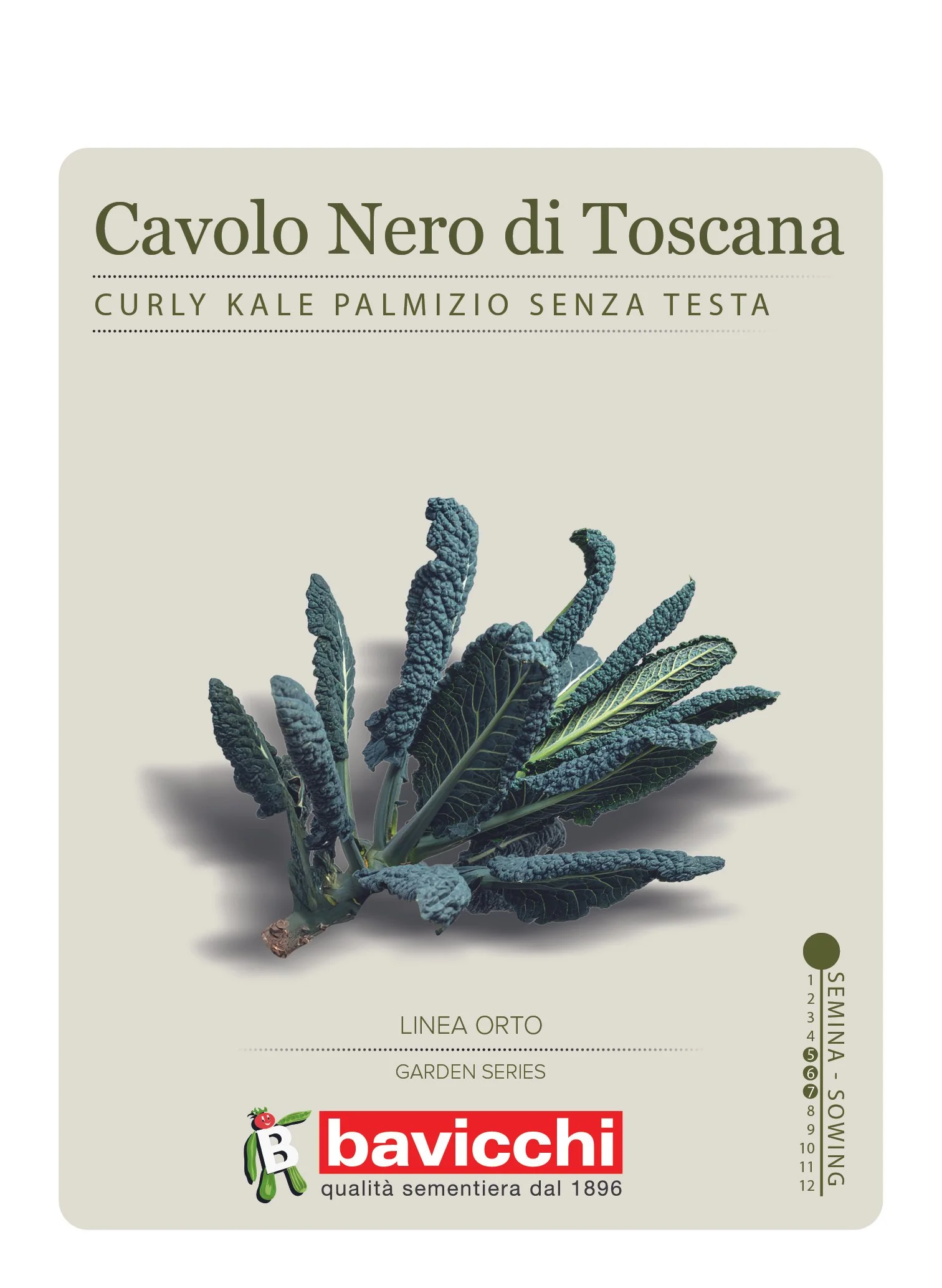 CAVOLO NERO DI TOSCANA - VCP0107