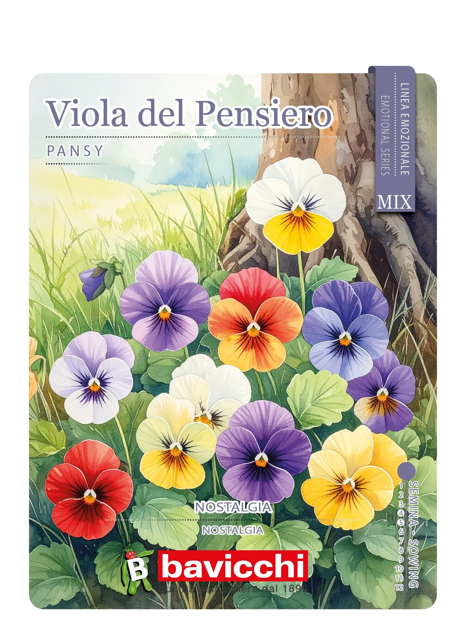 VIOLA DEL PENSIERO MIX - FVI0107