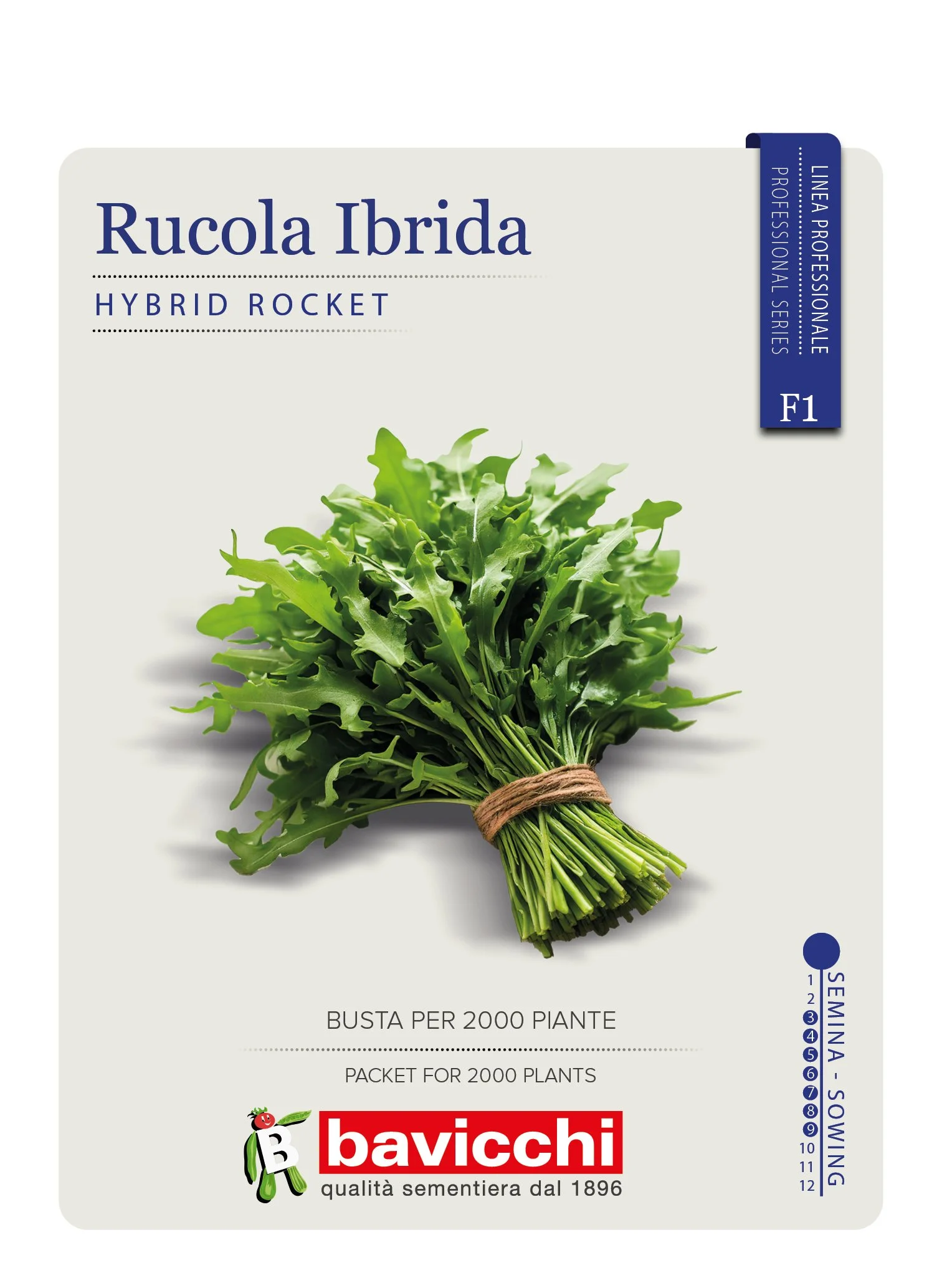 RUCOLA IBRIDA - ZRU0507