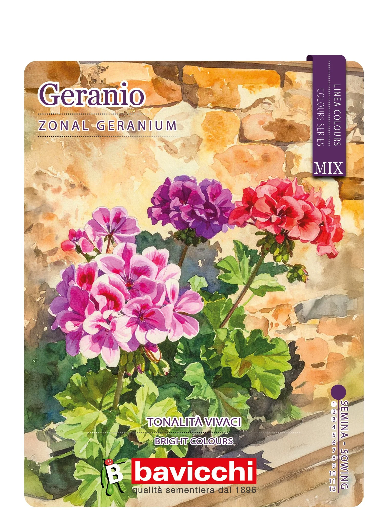 GERANIO A GRANDI FIORI MIX - FGE0107