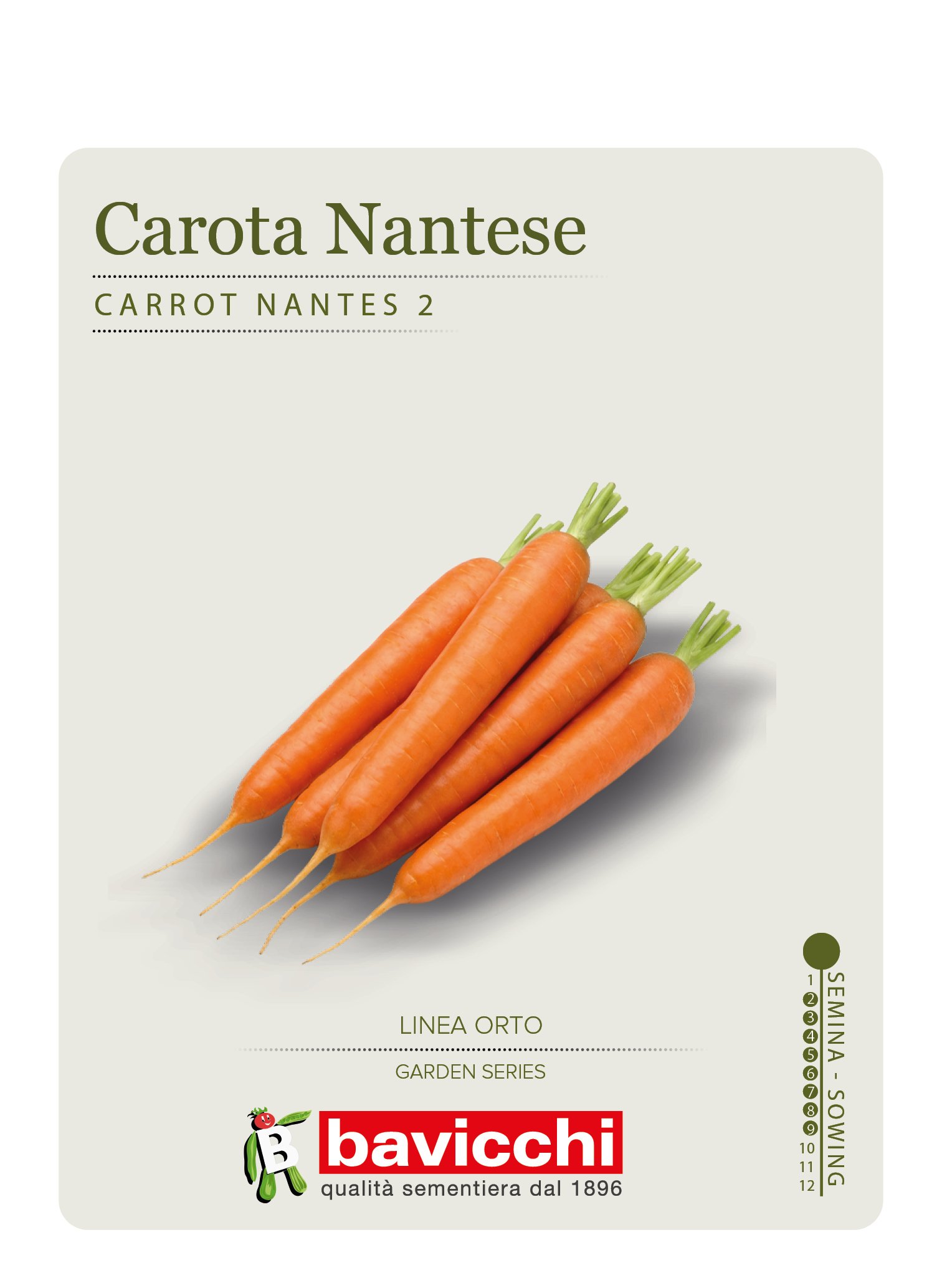 CAROTA NANTESE 2 - VCA0407