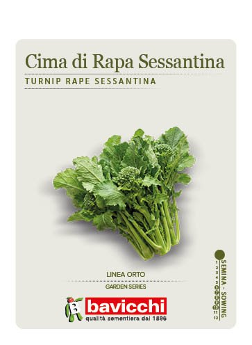RAPA BROCCOLETTI O CIMA DI RAPA SESSANTINA- ZRP0407