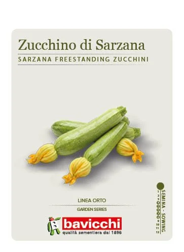 ZUCCHINO ALBERELLO DI SARZANA - VZU1907
