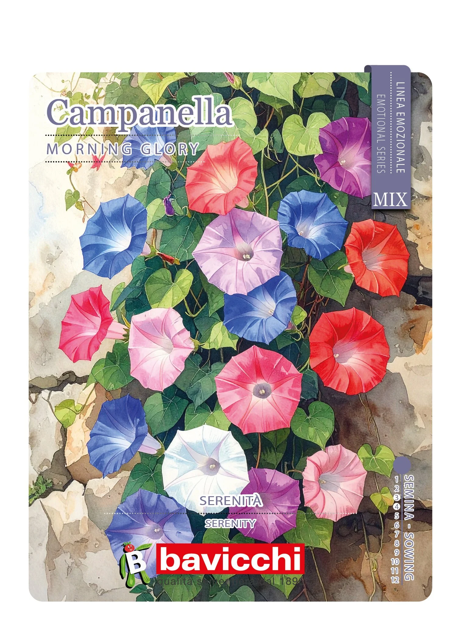 IPOMEA CAMPANELLE MIX - FIP0107