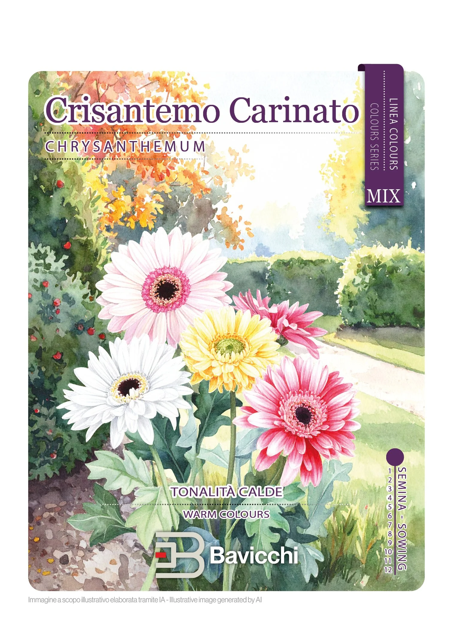 CRISANTEMO CARINATO MIX - FCR0107