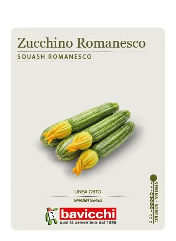 ZUCCHINO ROMANESCO - VZU0507