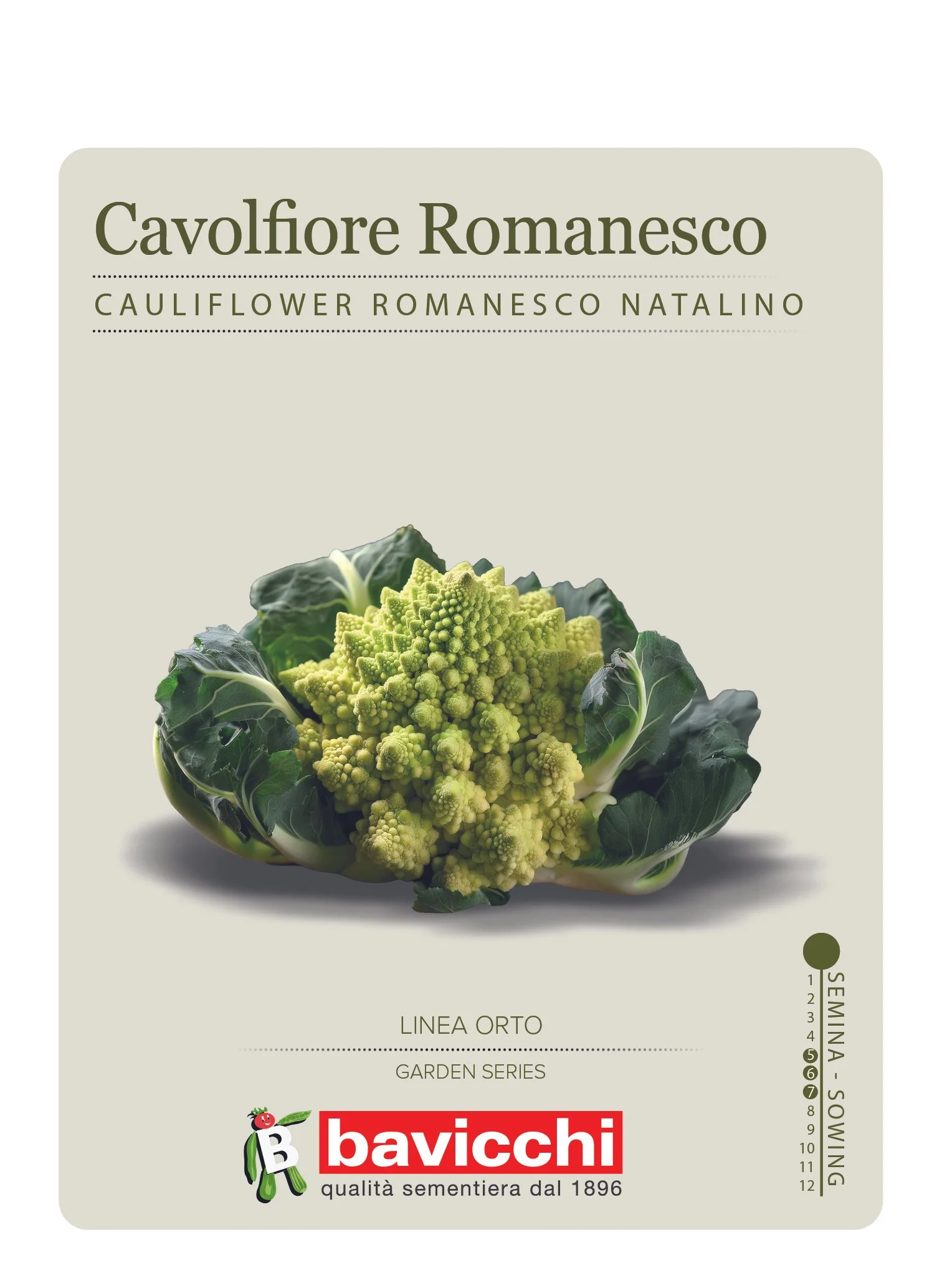 CAVOLFIORE ROMANESCO NATALINO - VCB0207