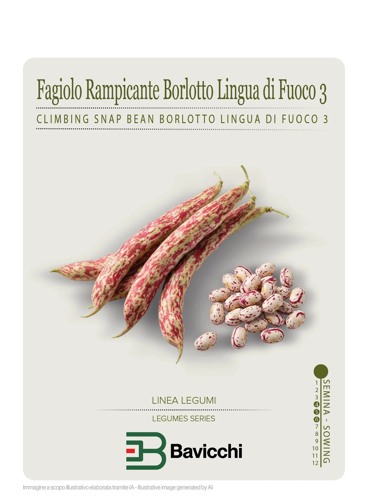 FAGIOLO RAMPICANTE BORLOTTO LINGUA DI FUOCO 3 - VFR0207