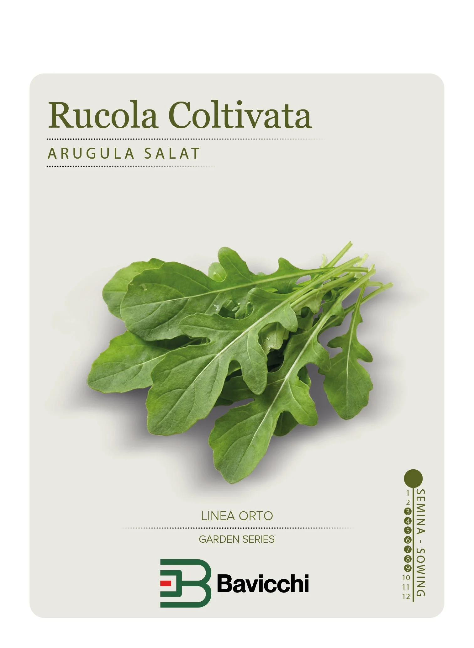 RUCOLA COLTIVATA - ZRU0107
