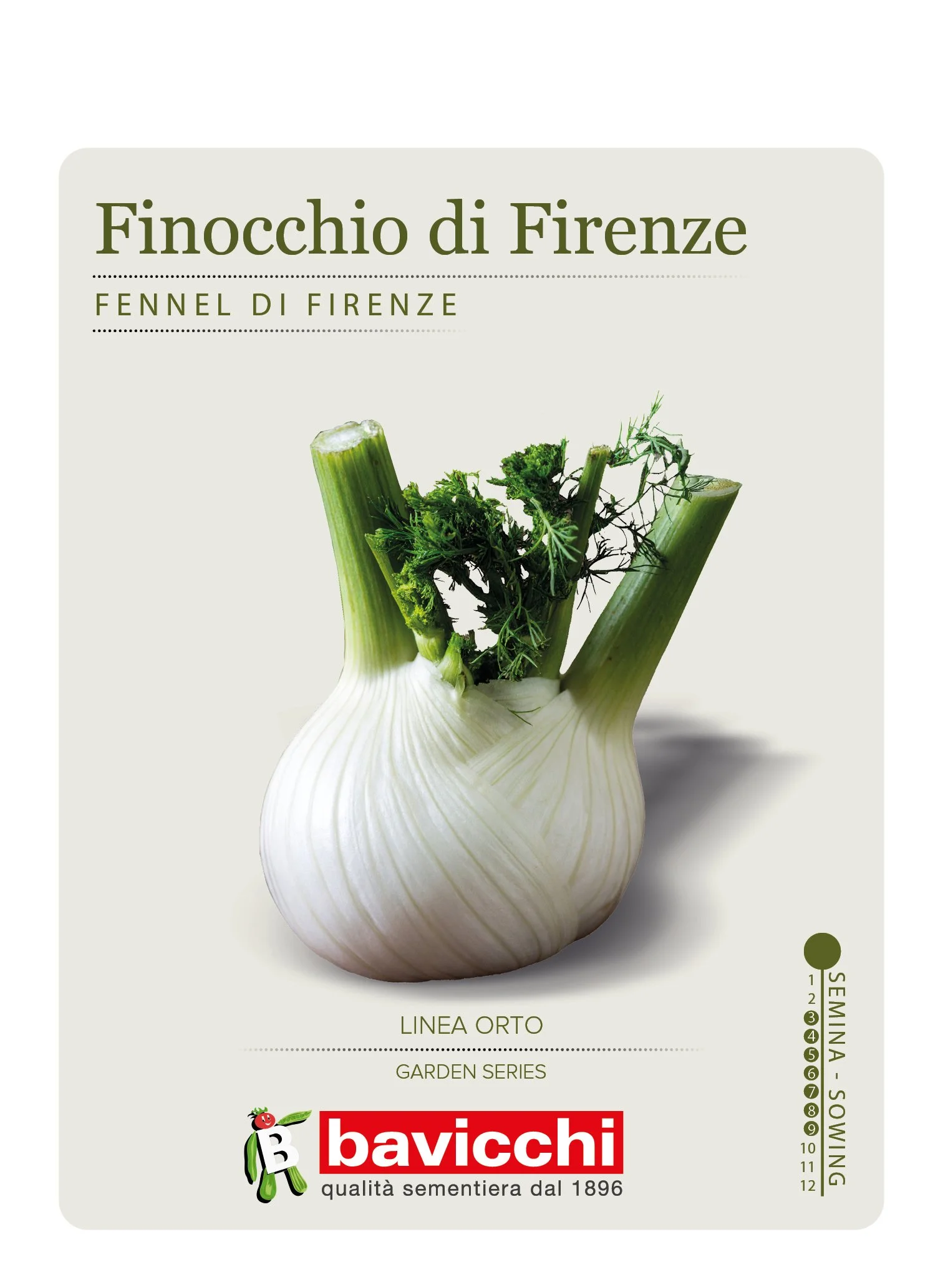 FINOCCHIO DULCE DE FLORENCIA - VFI0107