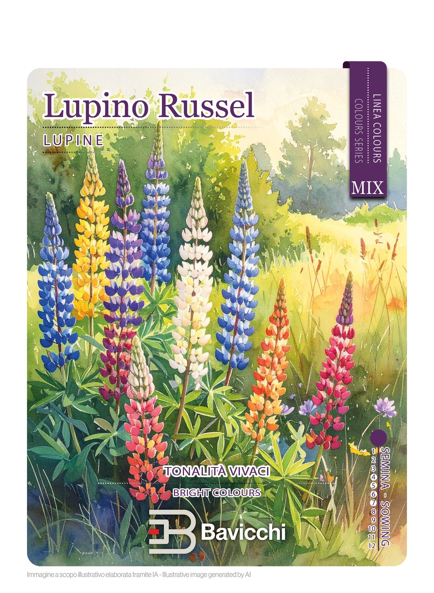 LUPINO RUSSEL MIX - FLP0107