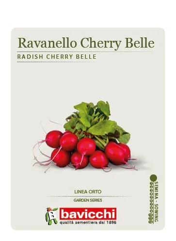 RAVANELLO CHERRY BELLE - VRV0207