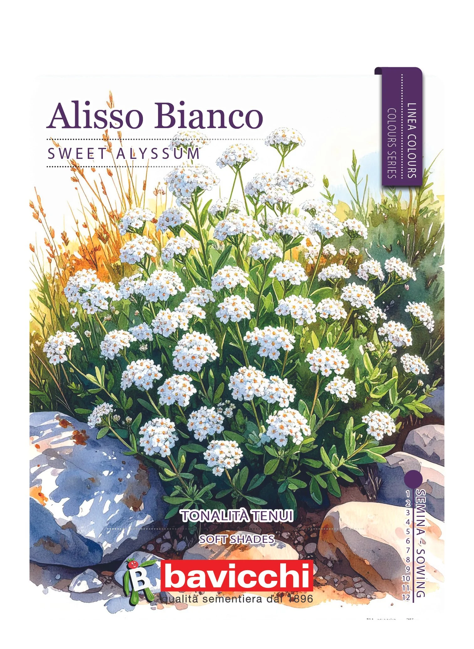 ALISSO BIANCO - FAL0107