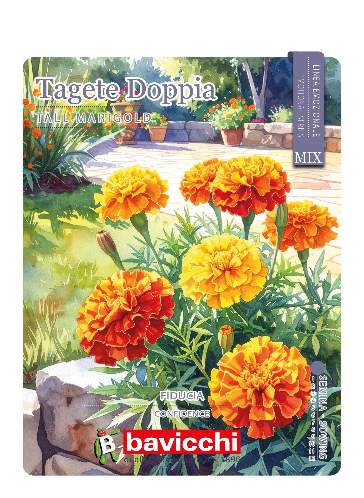 TAGETE DOPPIA MIX - FTA0107