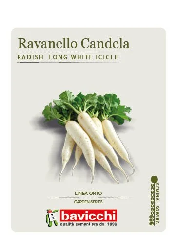 RAVANELLO WHITE ICICLE - VRV0107