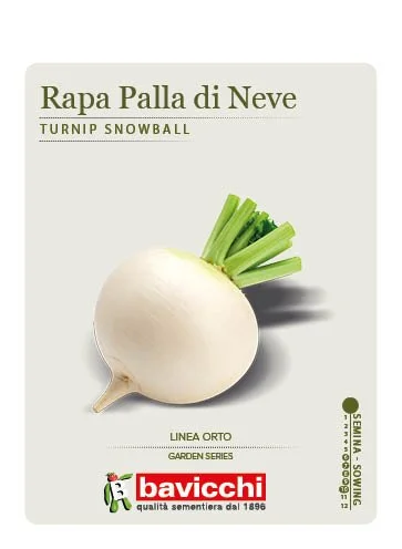 RAPA PALLA DI NEVE - VRP0307