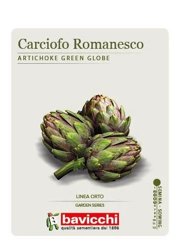 CARCIOFO ROMANESCO - ZCM0207