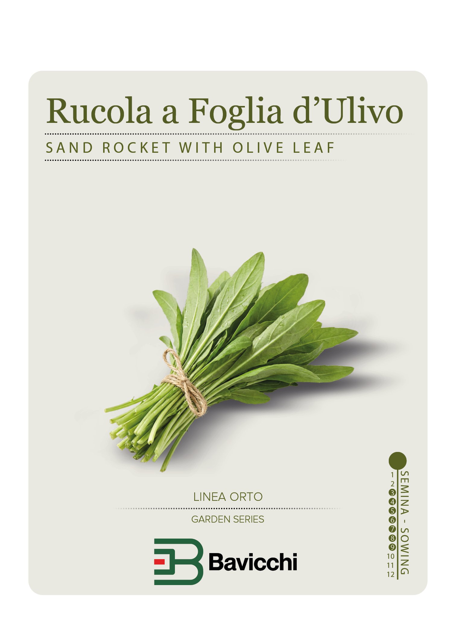 RUCOLA SELVATICA A FOGLIA D'ULIVO - ZRU0407