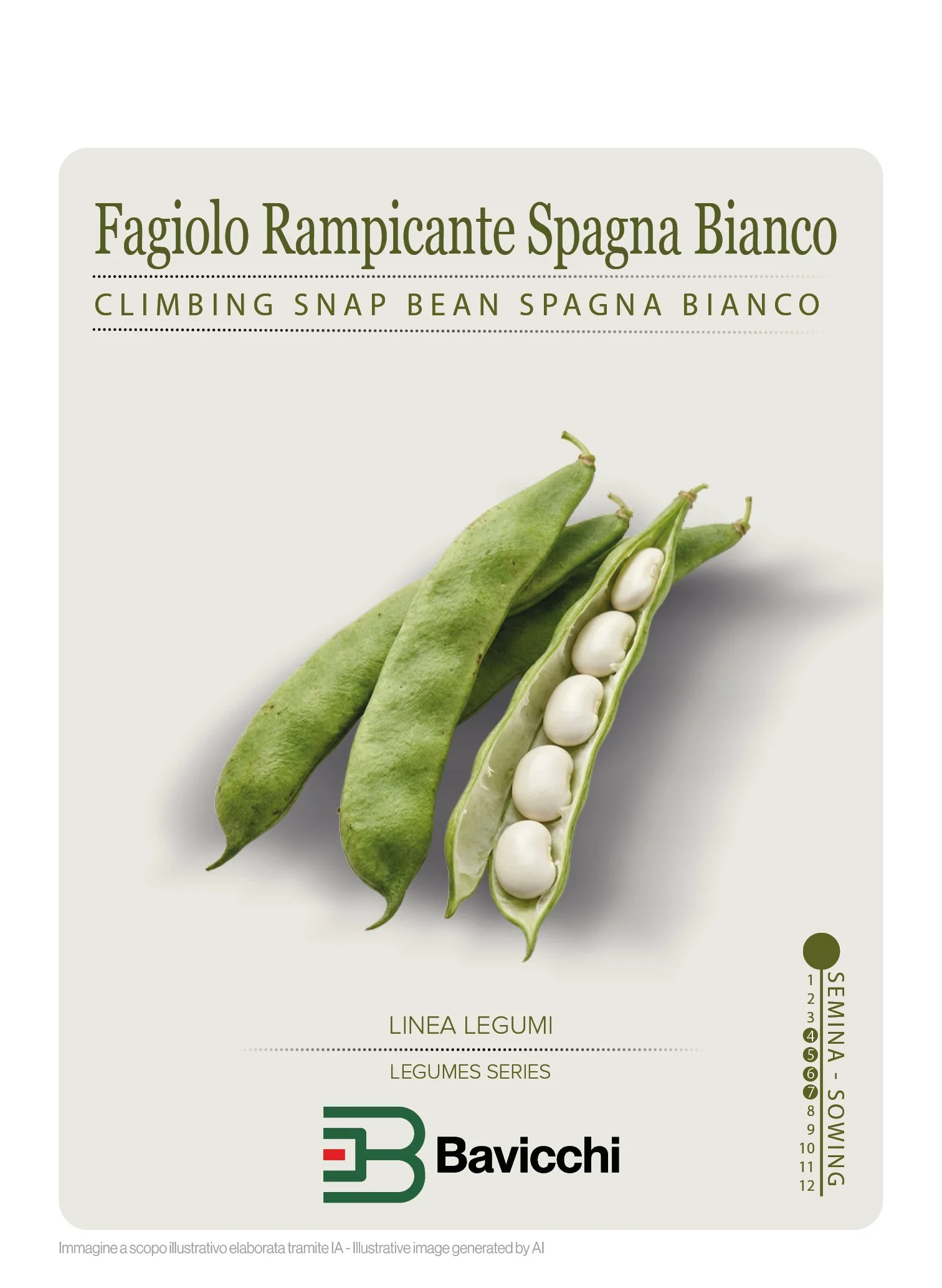 FAGIOLO SPAGNA BIANCO - VFR0307