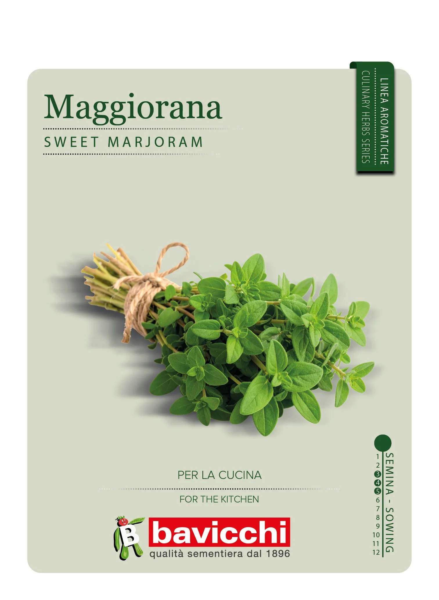 MAGGIORANA - ZXM1007