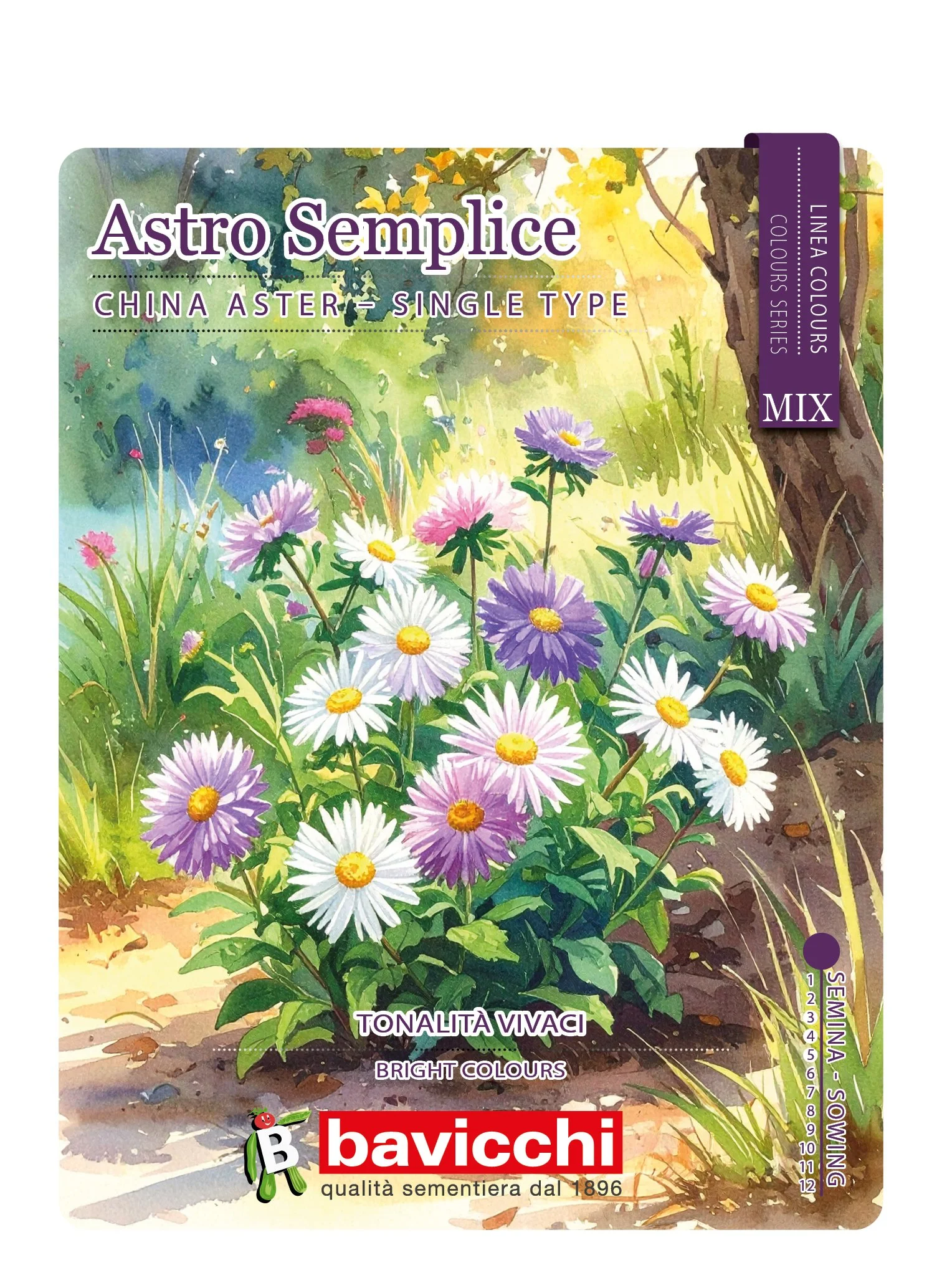 ASTRO SEMPLICE MIX - FAT1007