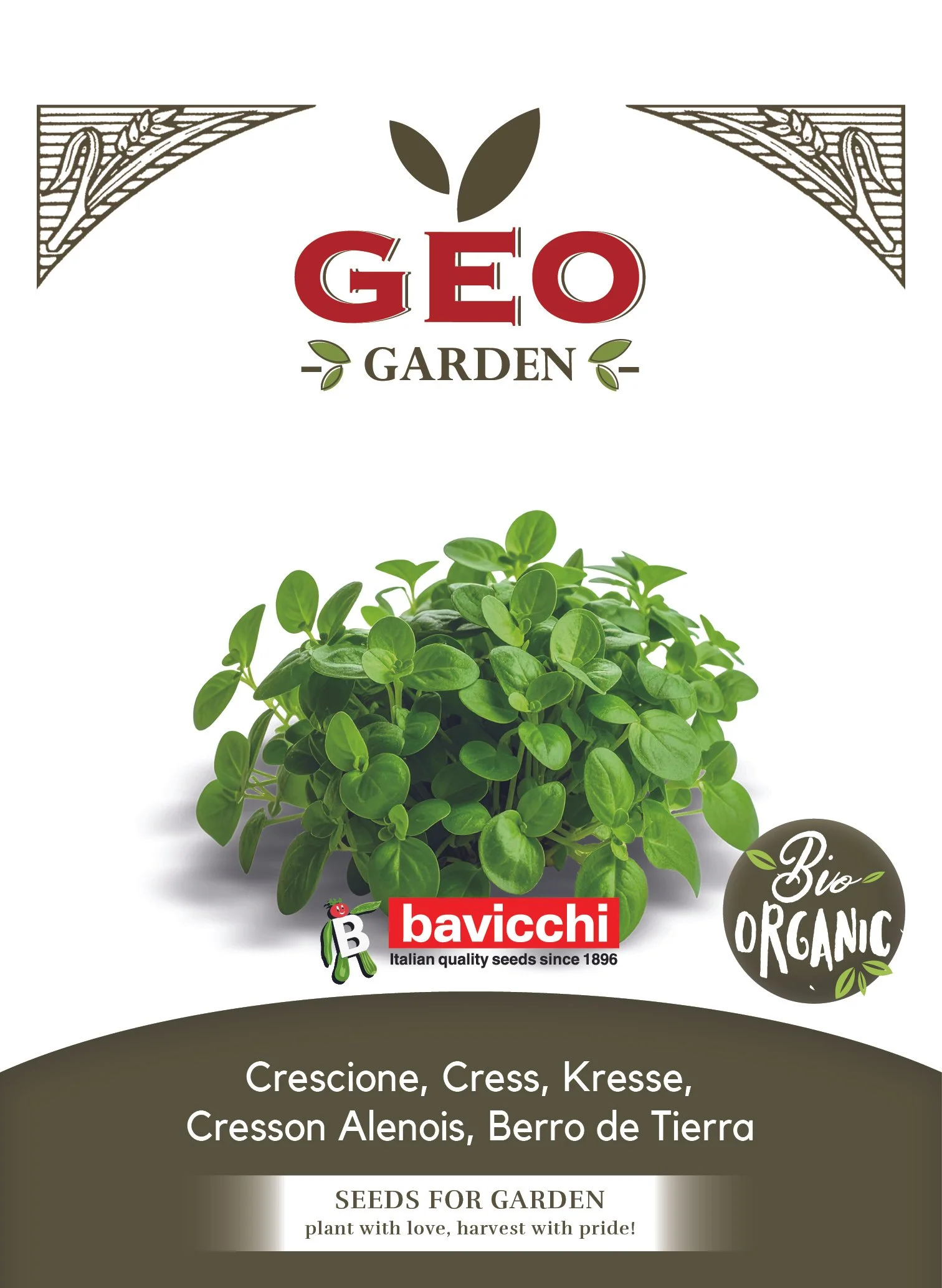 CRESCIONE - ZXC7003