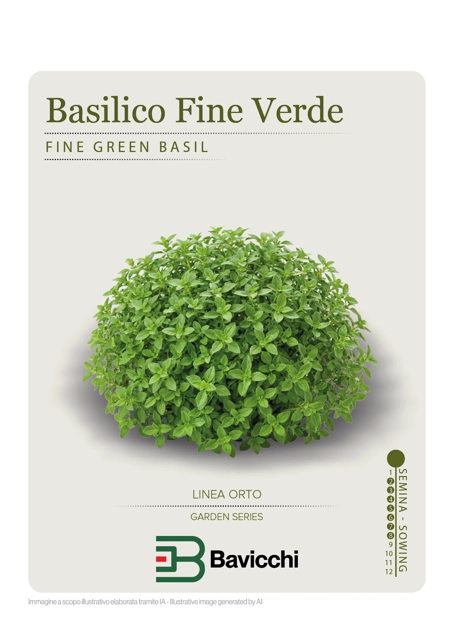 BASILICO FINE VERDE - ZBS0107