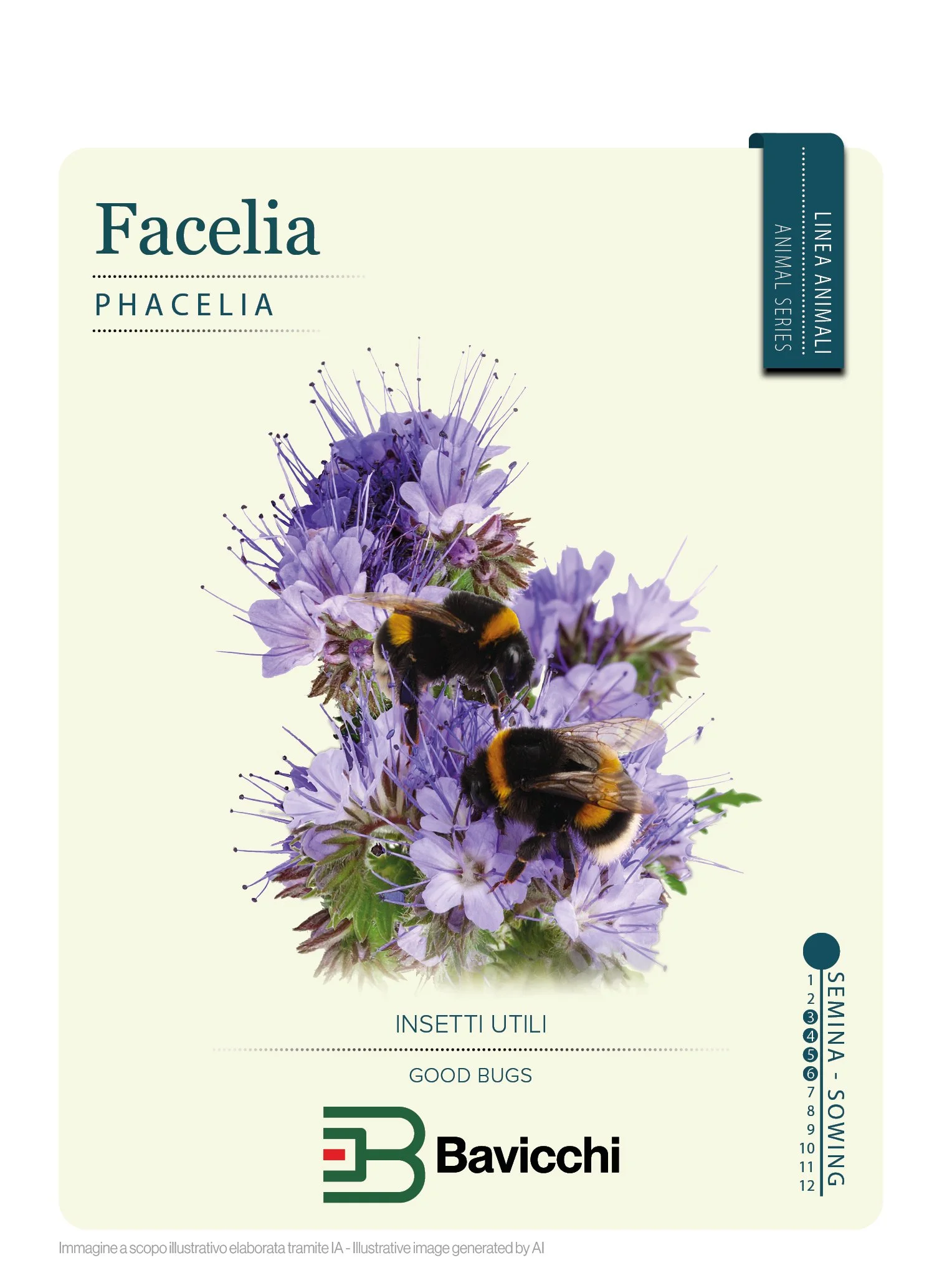 FACELIA - GMF3607
