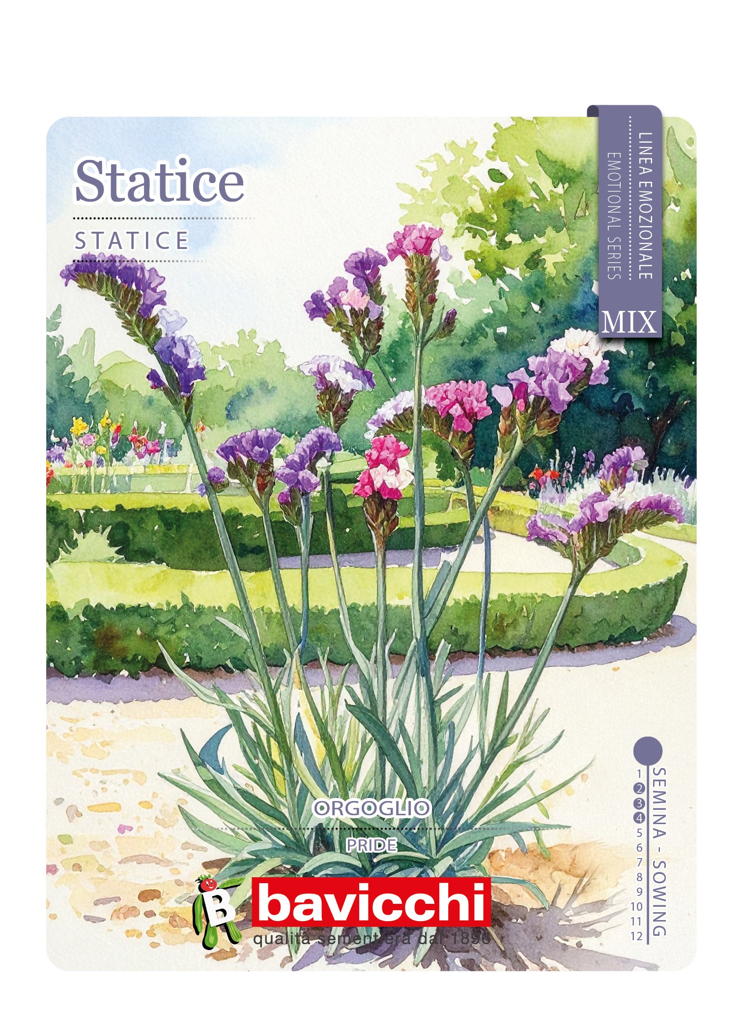 STATICE MIX - FST0107