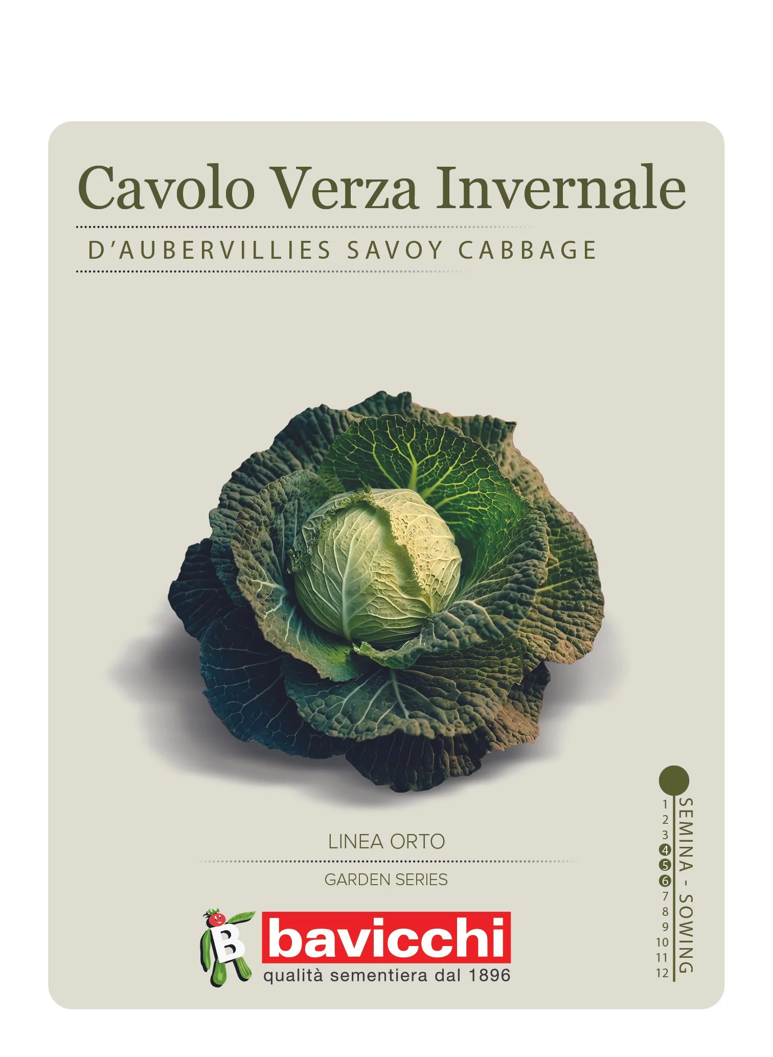 CAVOLO VERZA D'AUBERVILLIERS - VCV0107