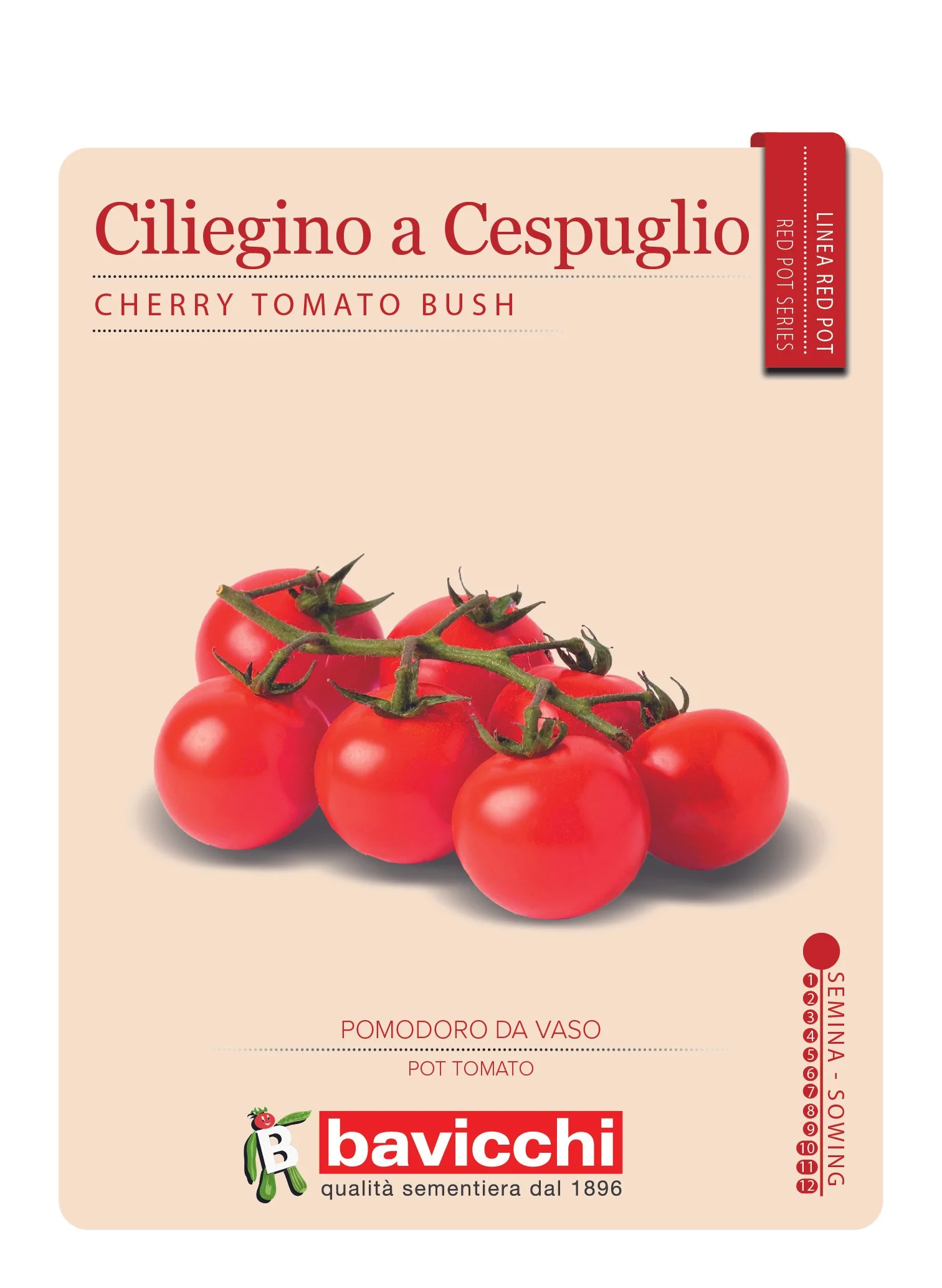 POMODORINO MAJA - VPM6407