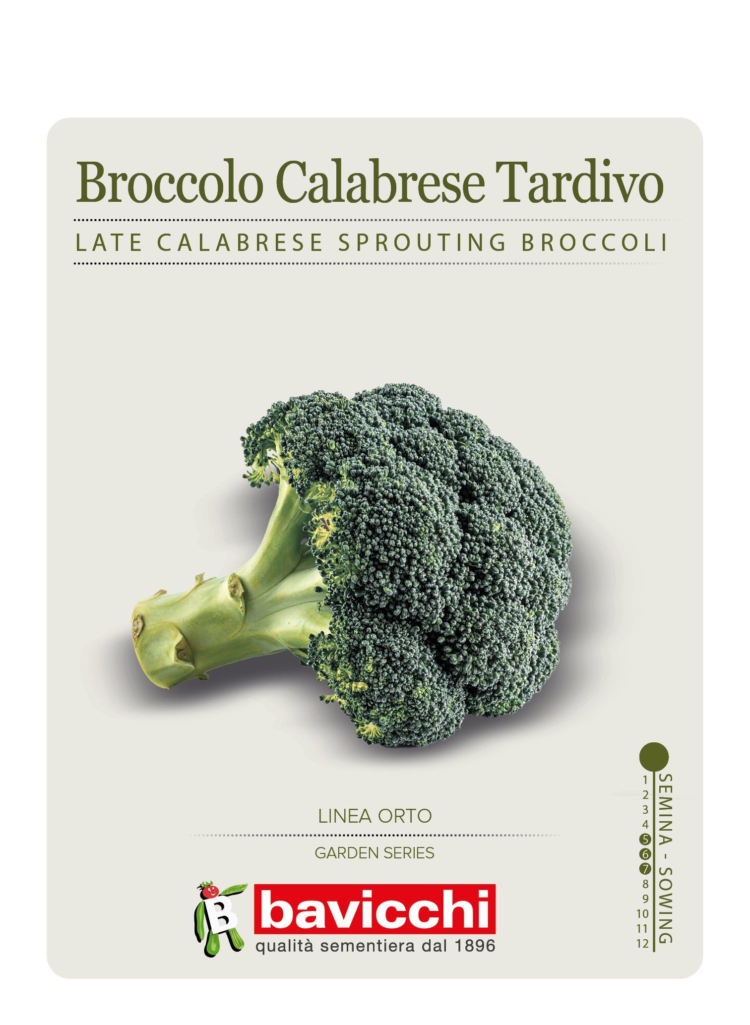 CAVOLO BROCCOLO RAMOSO CALABRESE TARDIVO - VCB0407
