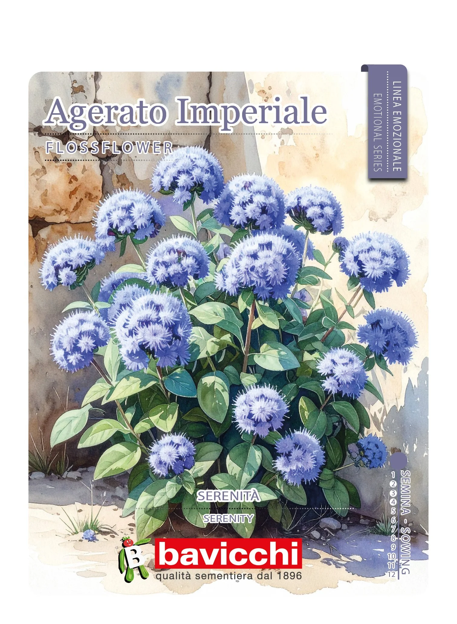 AGERATO IMPERIALE NANO BLU - FAG0207