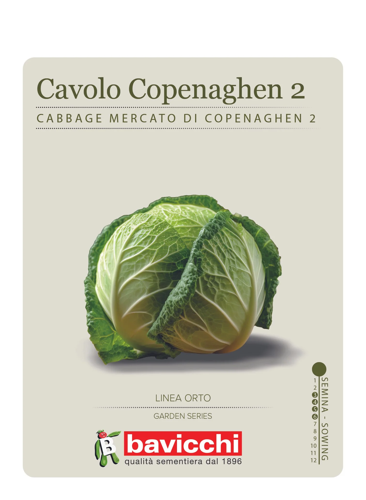 CAVOLO CAPPUCCIO MERCATO DI COPENAGHEN 2 - VCC0307