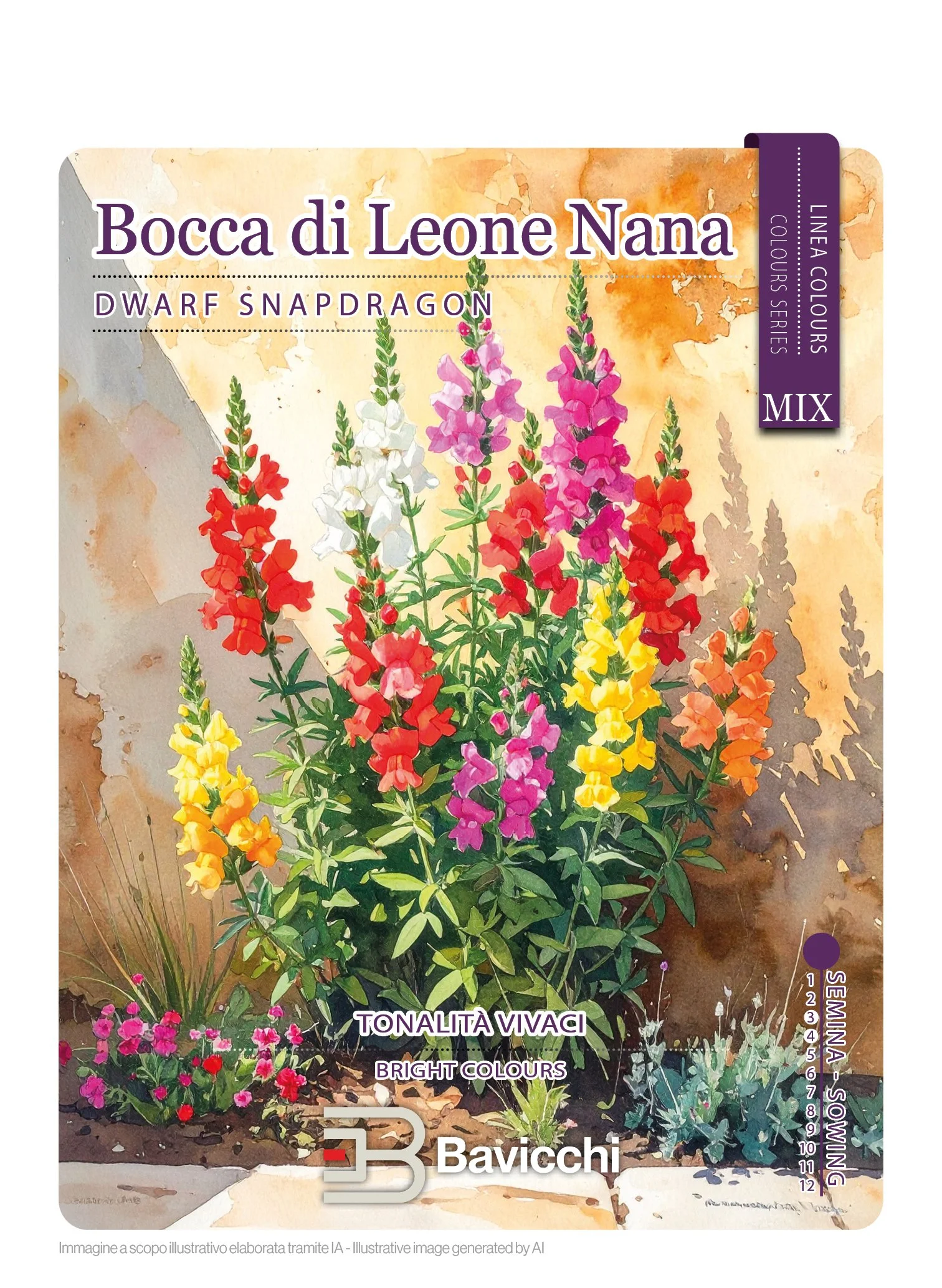 BOCCA DI LEONE NANA MIX - FBC0207C