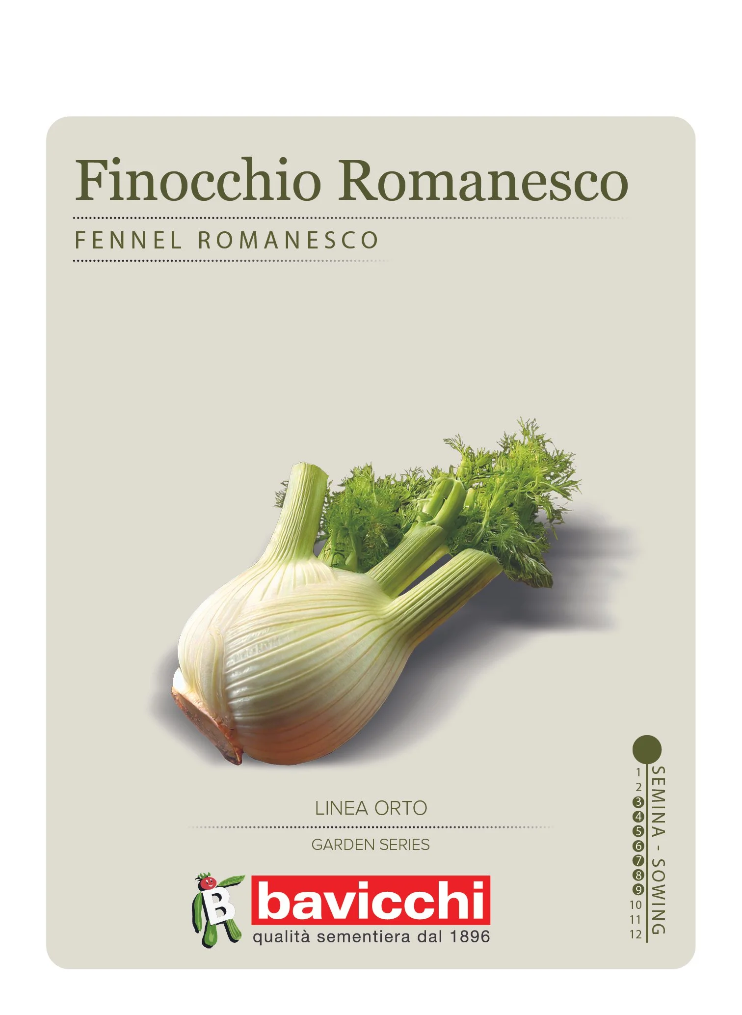 FINOCCHIO ROMANESCO - VFI0407