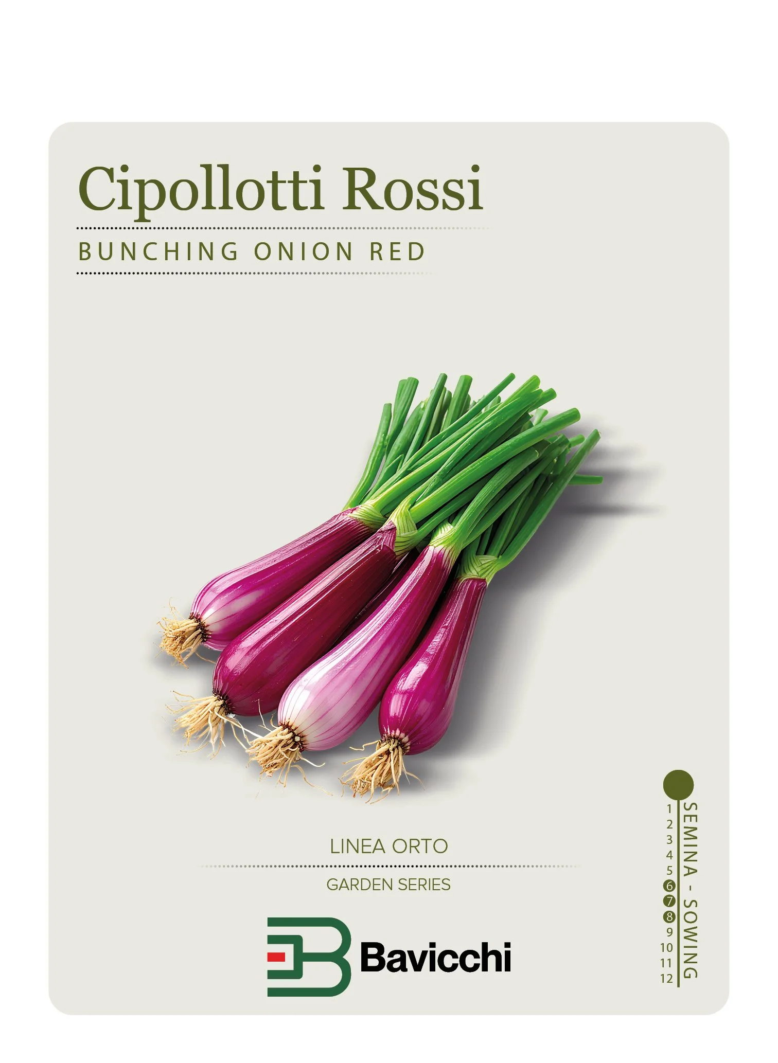 CIPOLLA DA CIPOLLOTTI ROSSI - ZCL0207