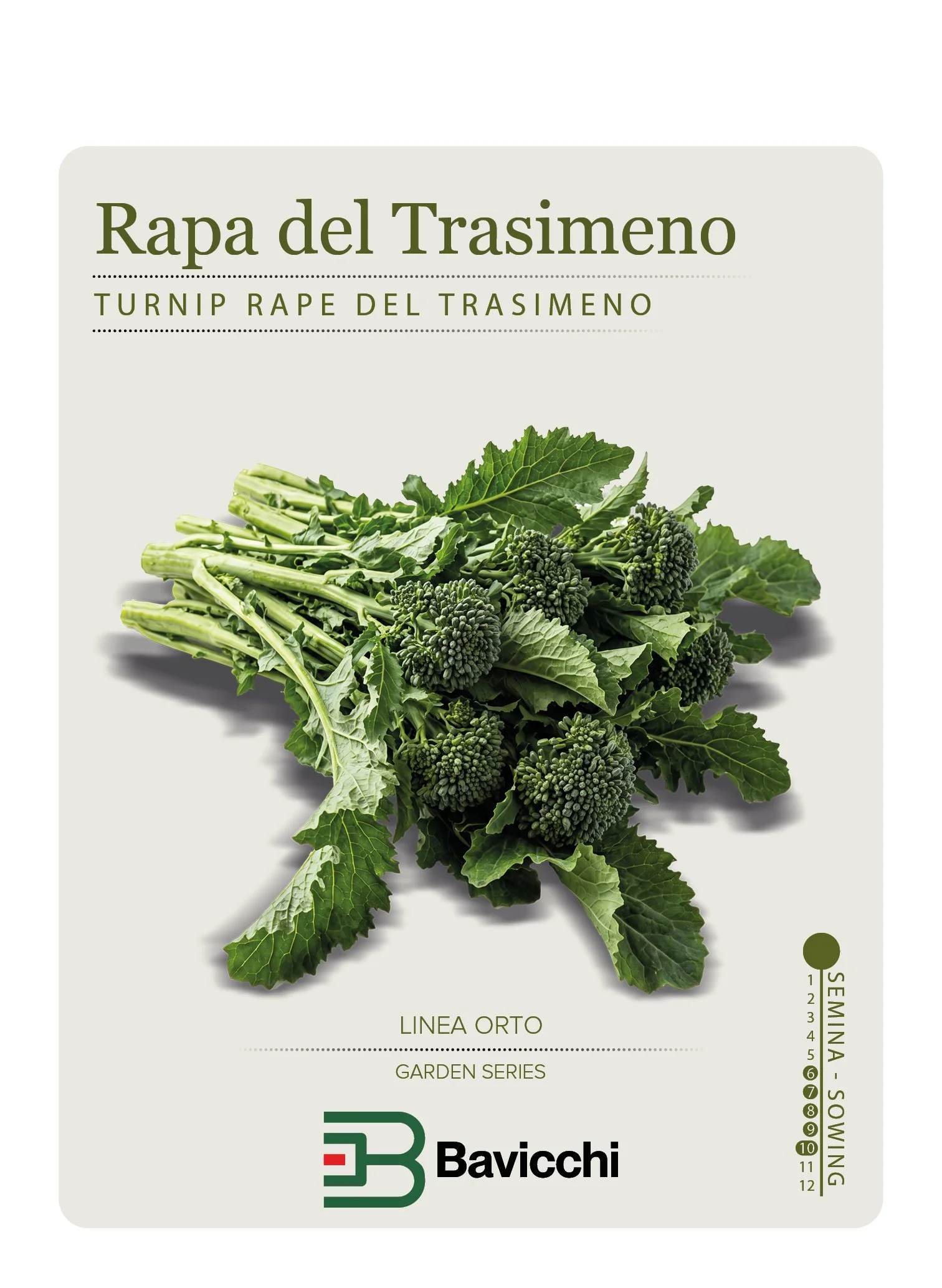 RAPA BROCCOLETTI O CIMA DI RAPA DEL TRASIMENO- ZRP0707