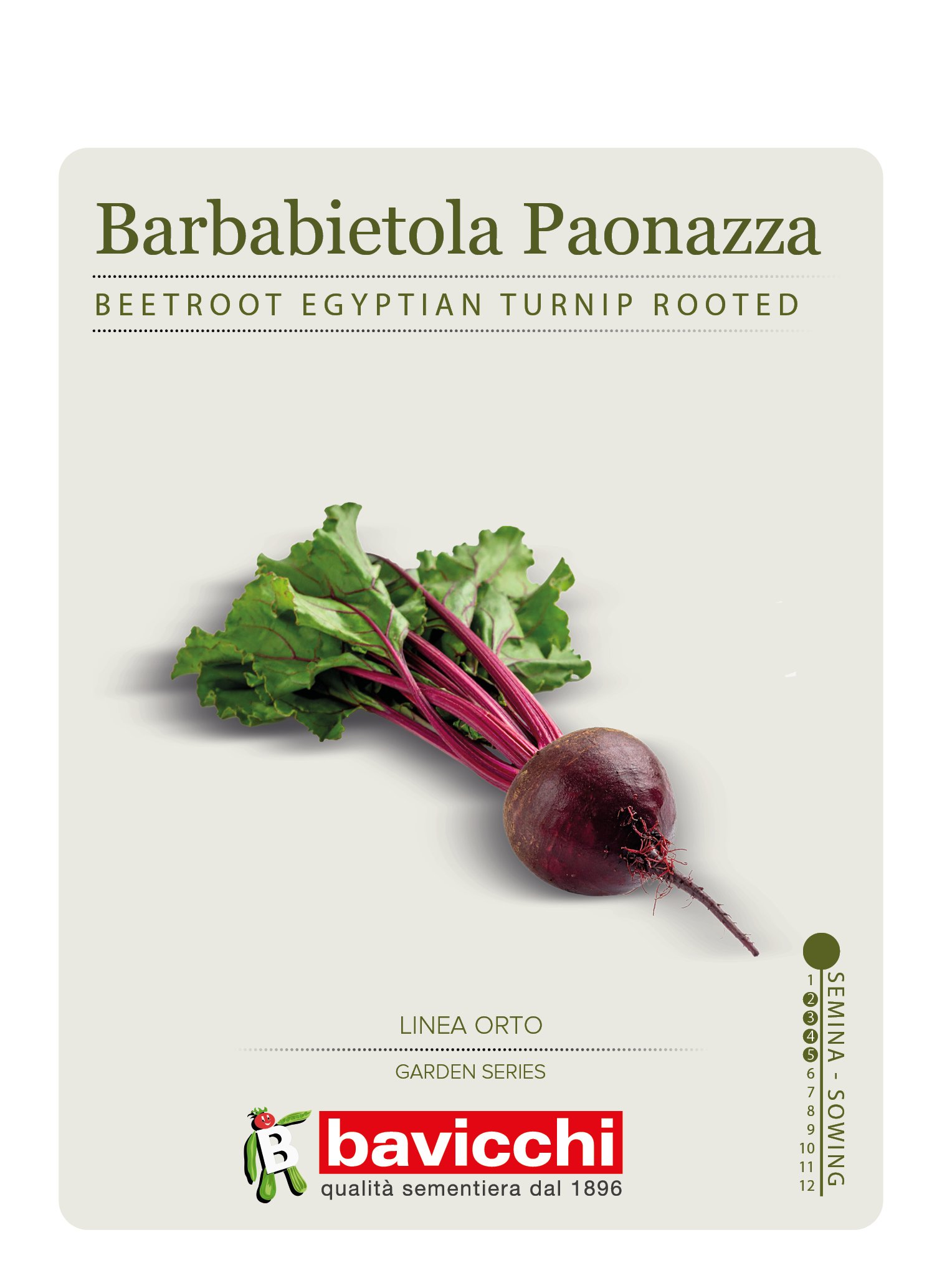BARBABIETOLA PAONAZZA D'EGITTO- VBA0207