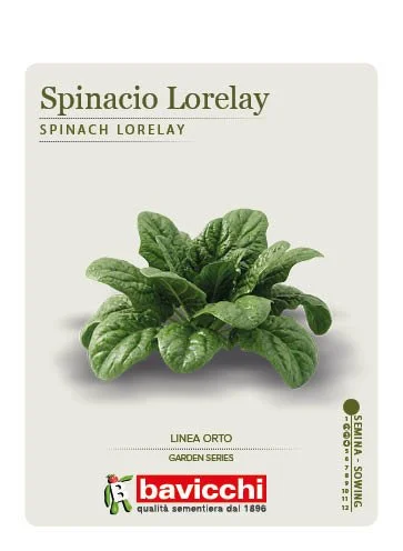 SPINACIO LORELAY - VSP0707