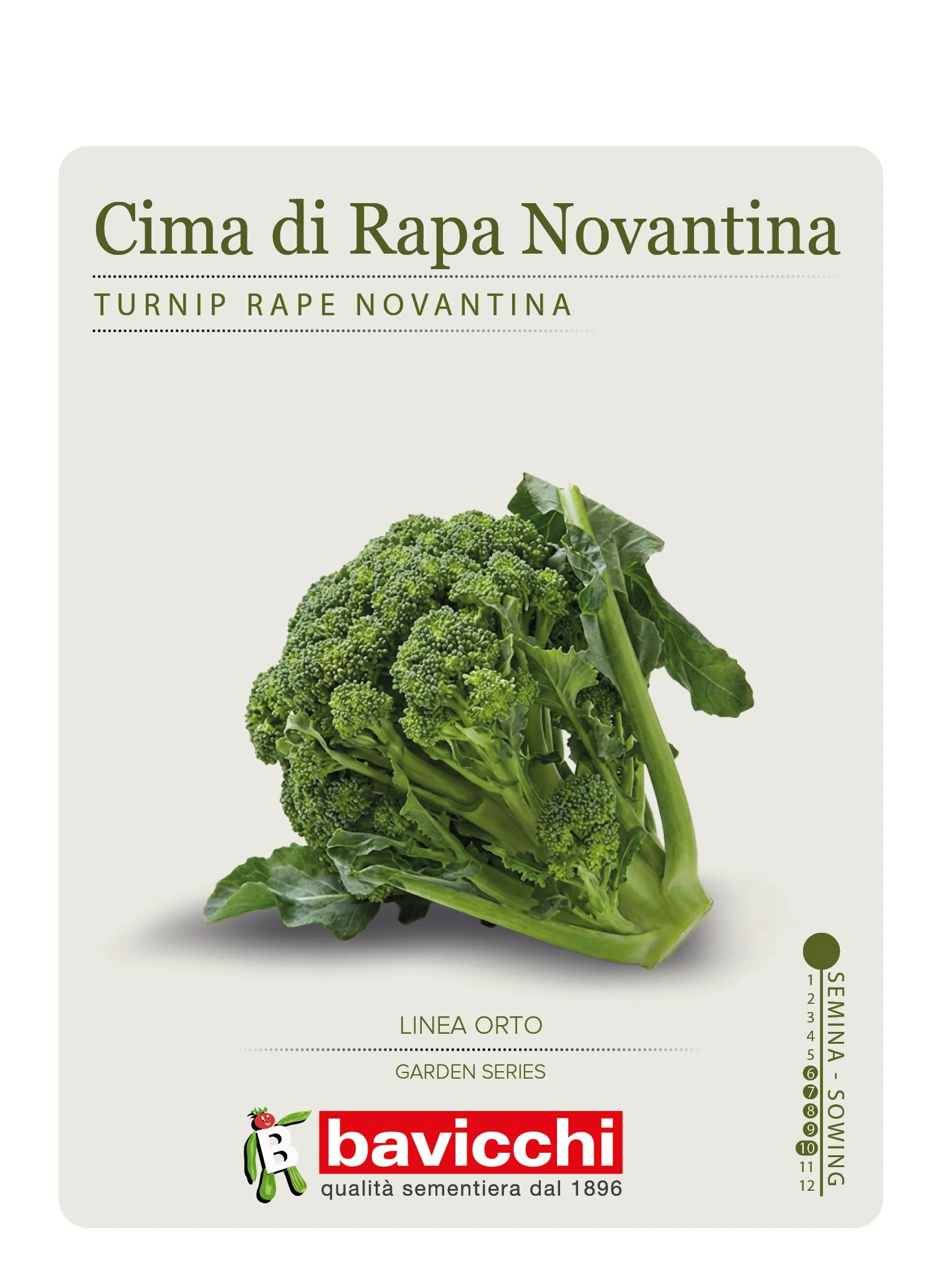 RAPA BROCCOLETTI O CIMA DI RAPA NOVANTINA - ZRP0207