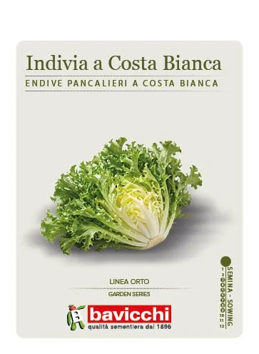INDIVIA PANCALIERI A COSTA BIANCA - VEN0507