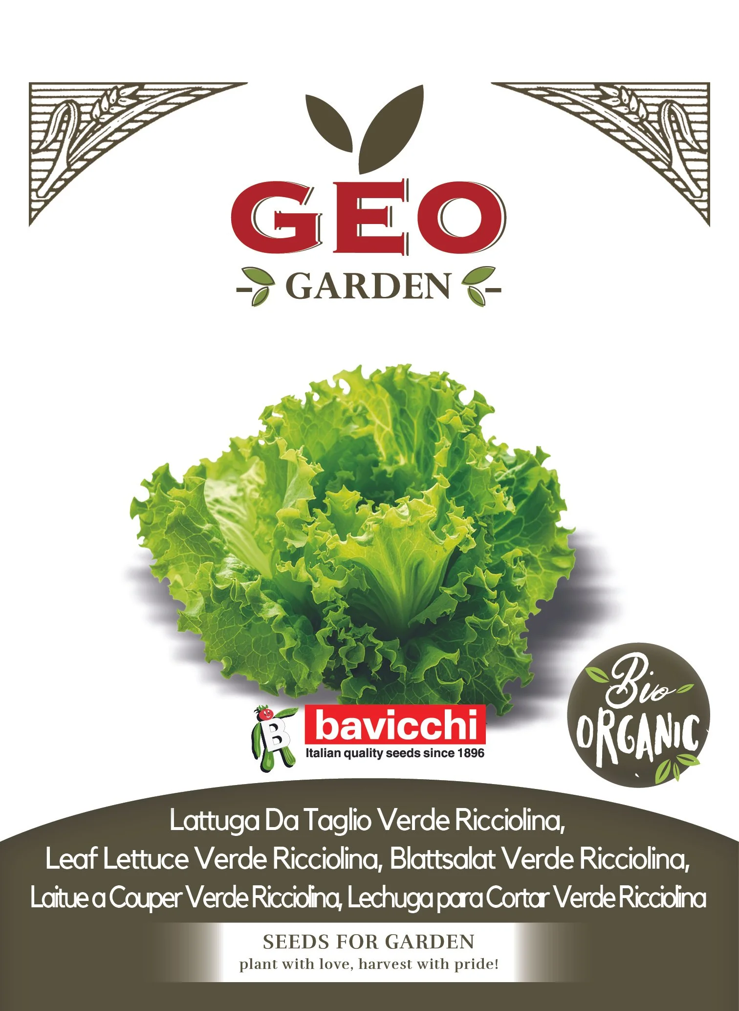 LATTUGA DA TAGLIO VERDE RICCIOLINA - VLA4703
