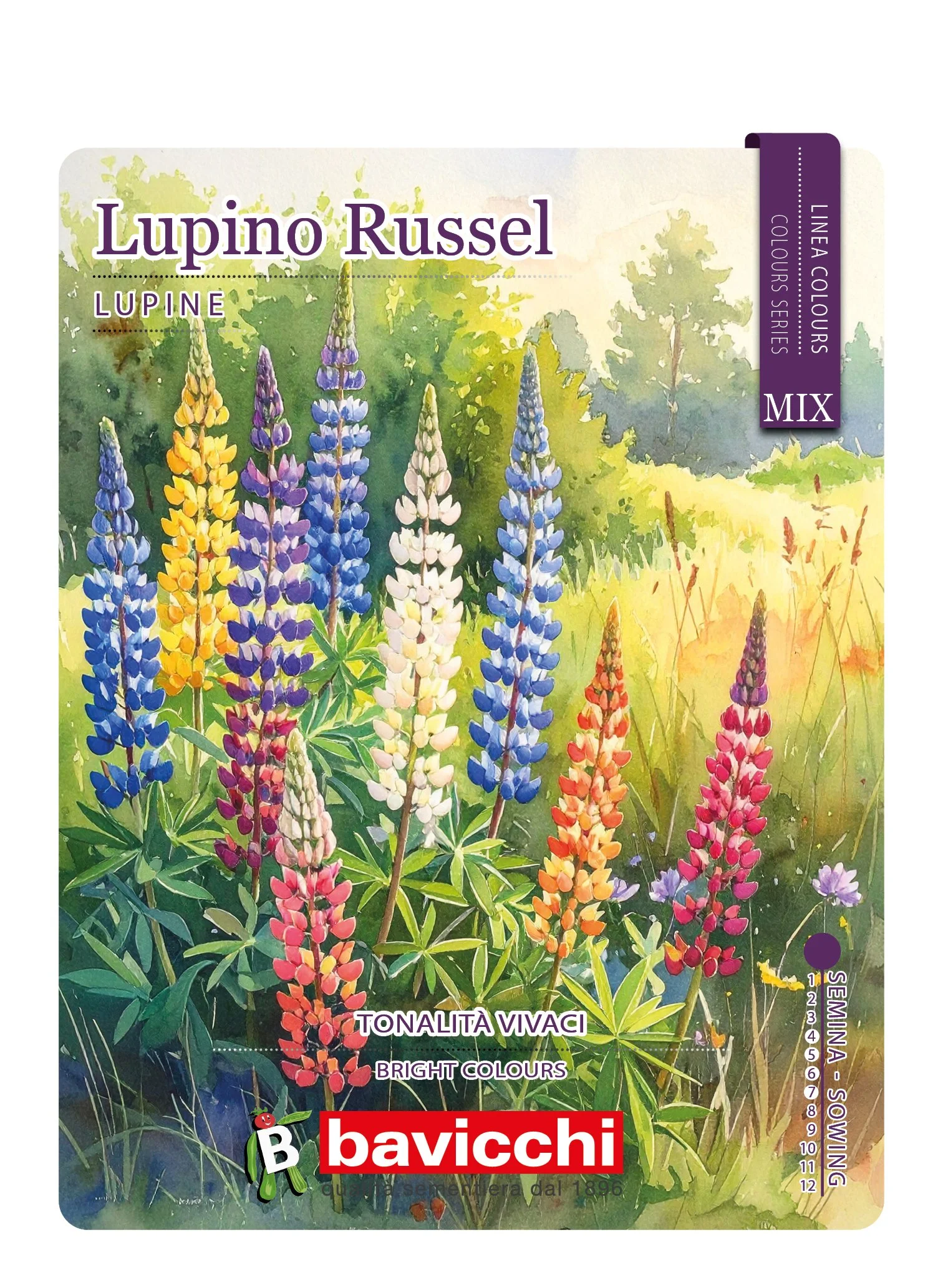 LUPINO RUSSEL MIX - FLP0107