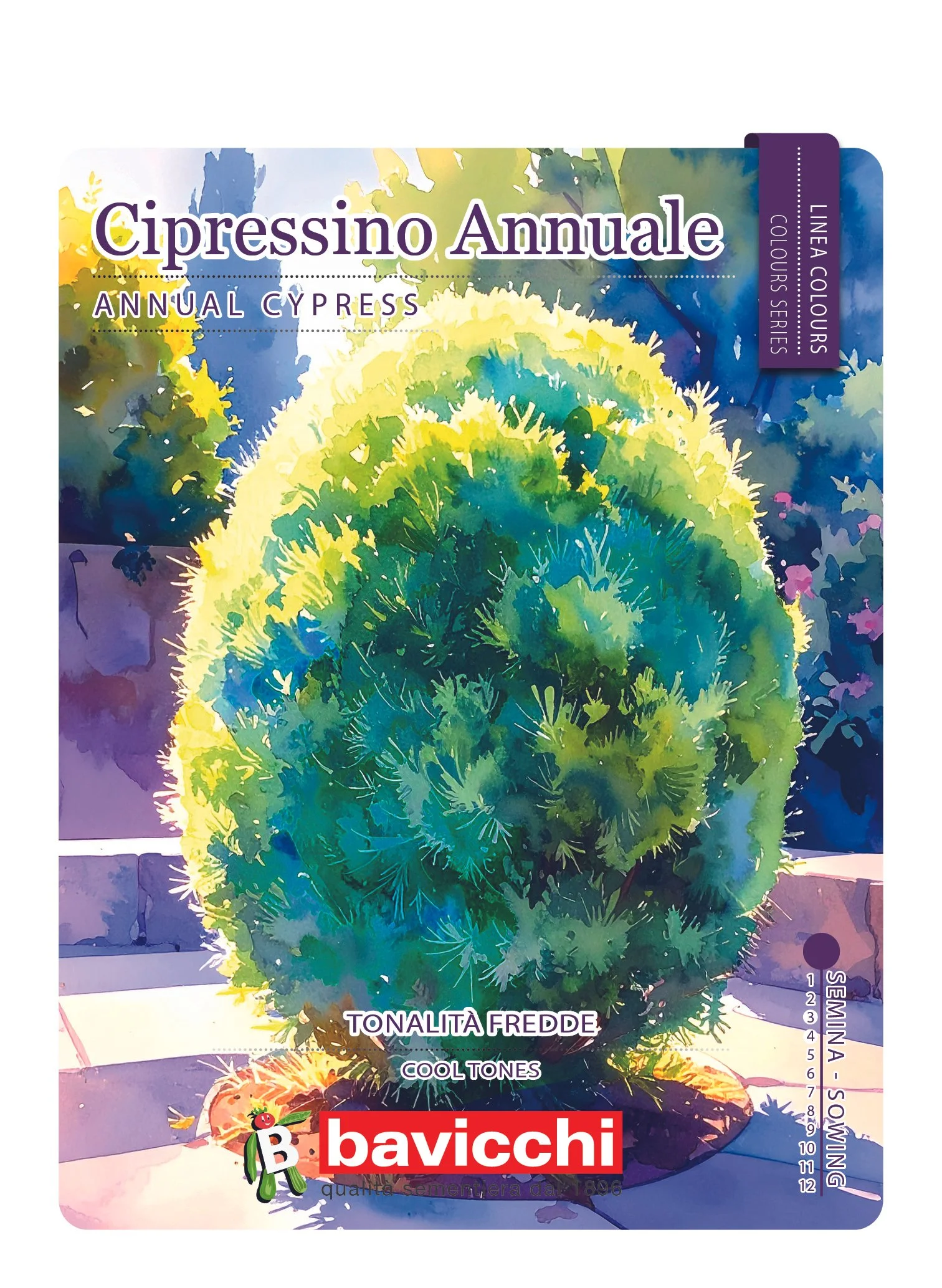 CIPRESSINO ANNUALE - FKC0107