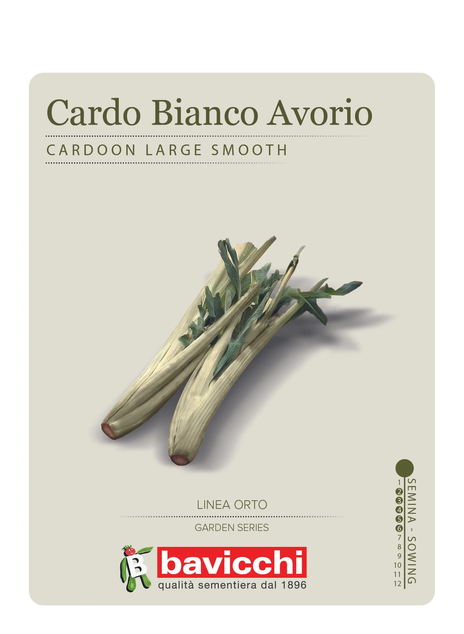 CARDO BIANCO AVORIO - VCD0107