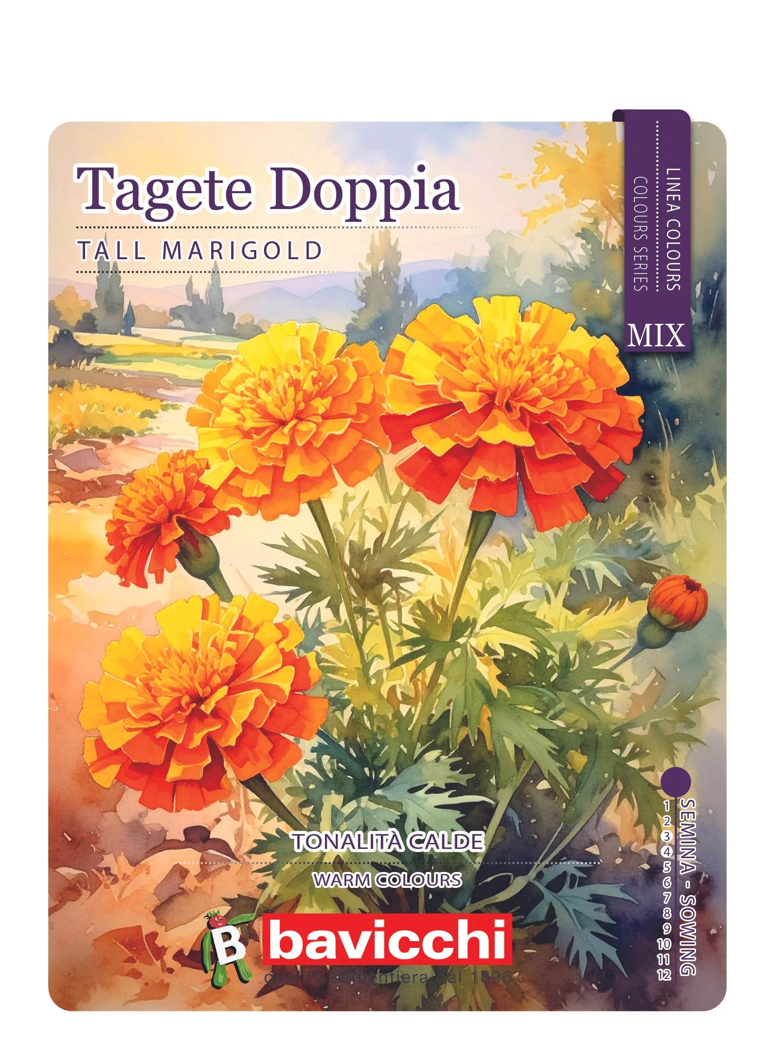 TAGETE DOPPIA MIX - FTA0107C