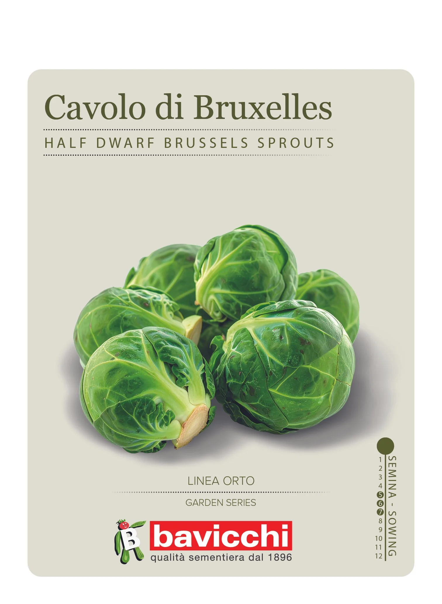 CAVOLO A GERMOGLI MEZZO NANO - VCG0107